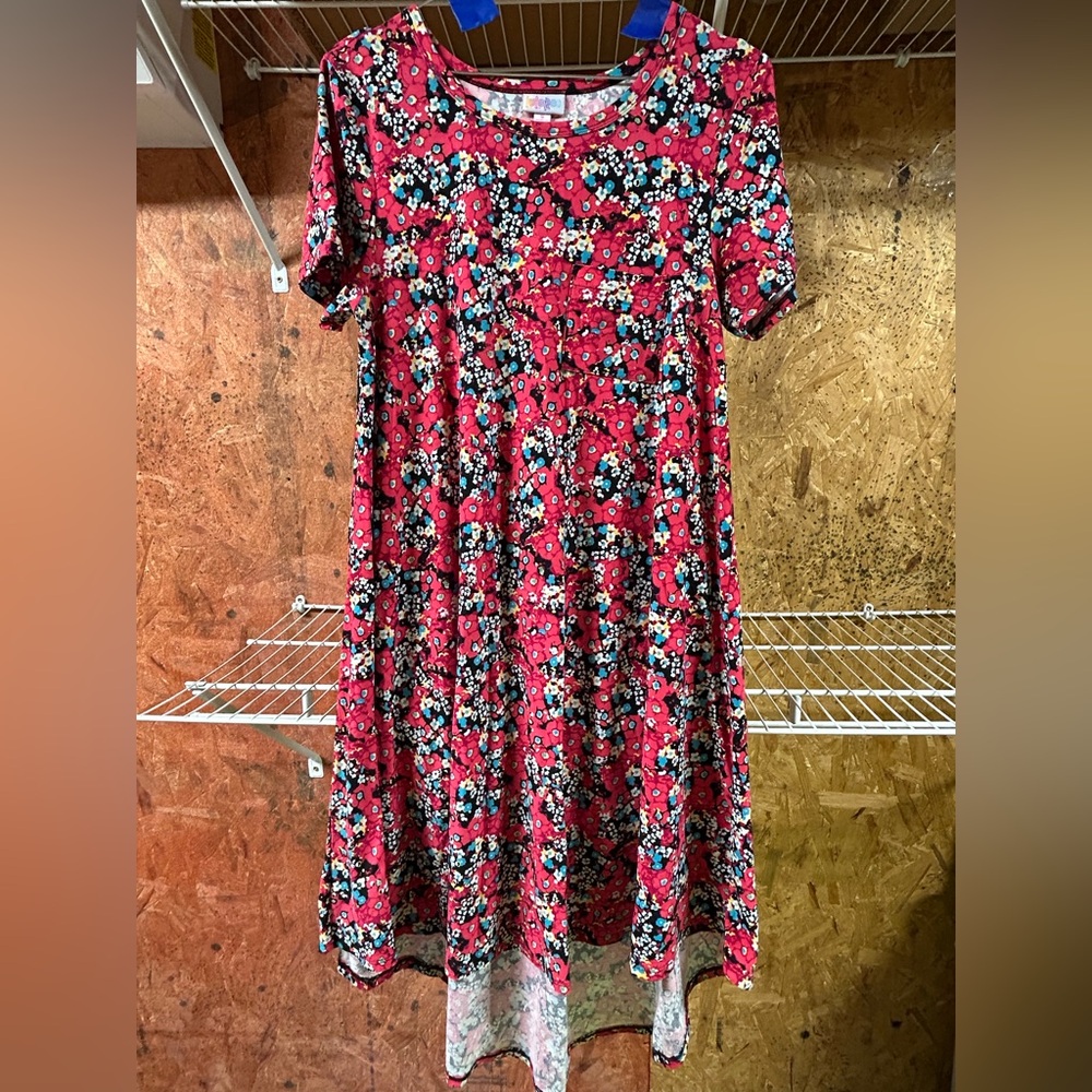LulaRoe Floral dress